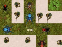 Bug Defense Strategy
