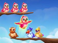 Feathered Friends Color Sorting Puzzle