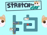 Cat Stretch Puzzle Adventure