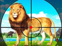 Safari Observer Wild Adventure