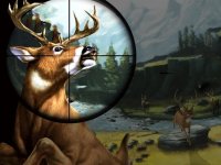 Wilderness Tracking Adventure Simulator
