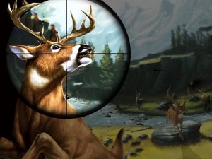 Wilderness Tracking Adventure Simulator