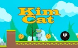 Kim Cat Cookie Quest