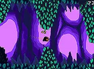 Bat Flight Through the Caves